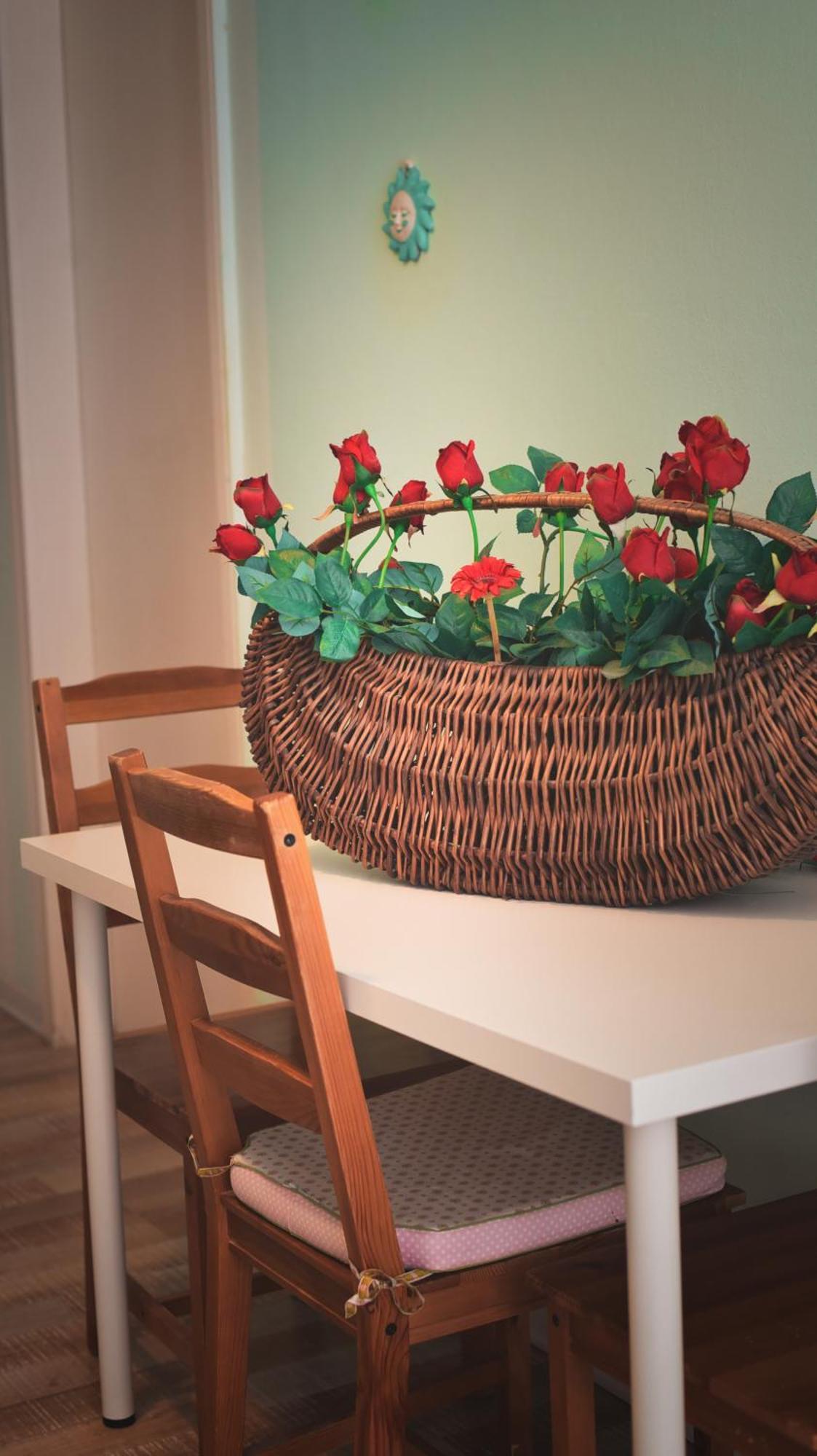 Barcolana Lodge - Hostel Триест Экстерьер фото